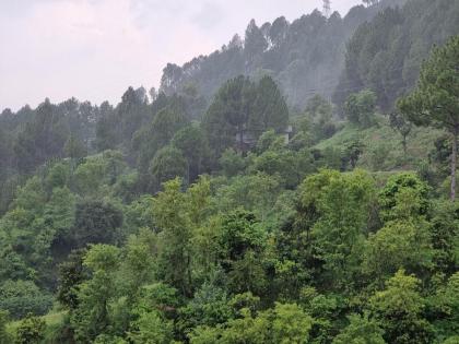 Srinagar Homes - image 8