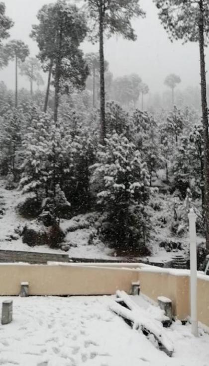 Navid's Holiday Resort & Hotel Murree Apartment 3 - image 11